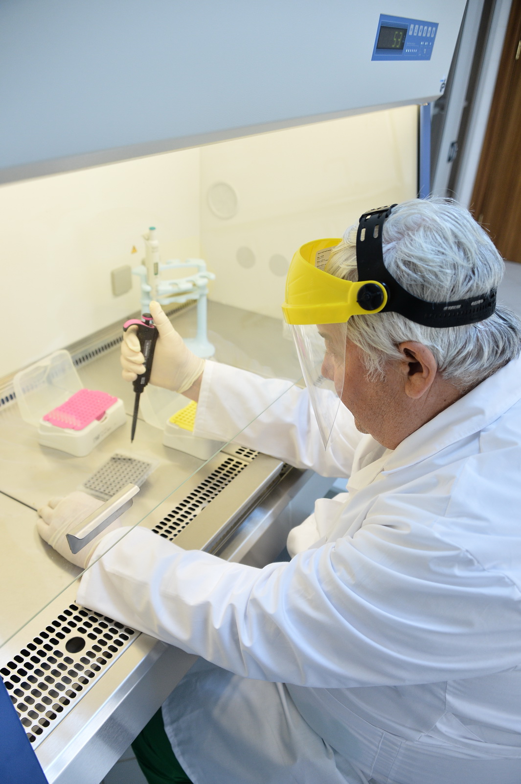 ATÇYLYKDA MOLEKULÝAR GENETIKANYŇ TEHNOLOGIÝALARY